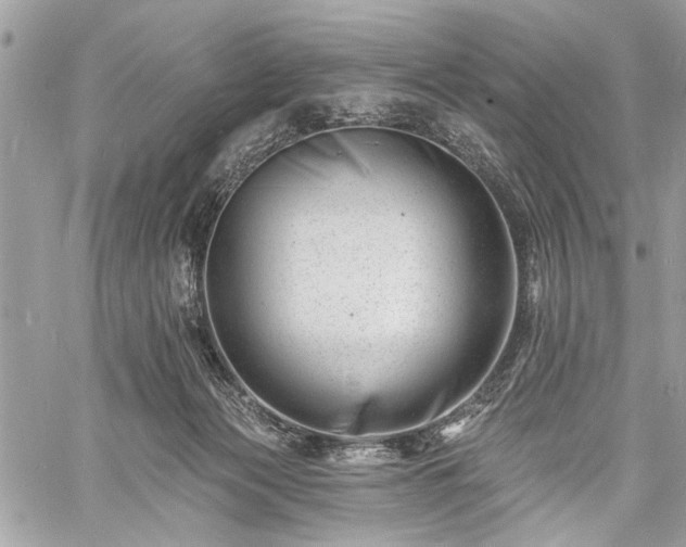 X0000060740173200511141142