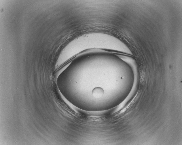 X0000060740175200511141142