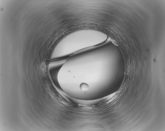 X0000060740176200511141142