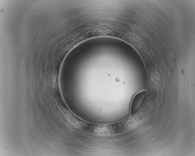 X0000060740177200511141142