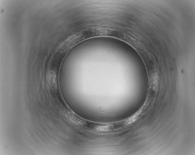 X0000060740178200511141142