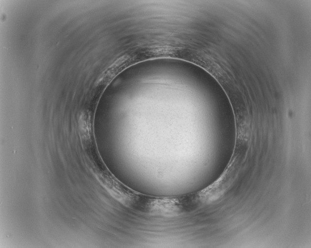 X0000060740179200511141142