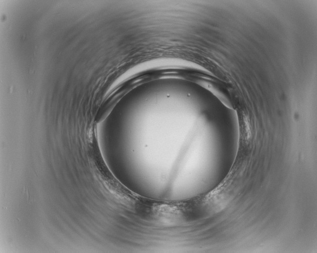 X0000060740180200511141142