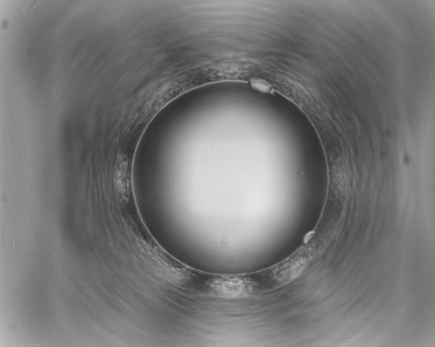 X0000060740181200511141142