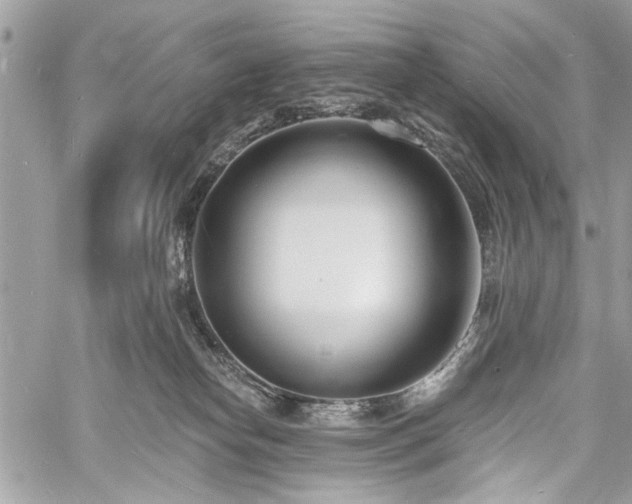 X0000060740182200511141142