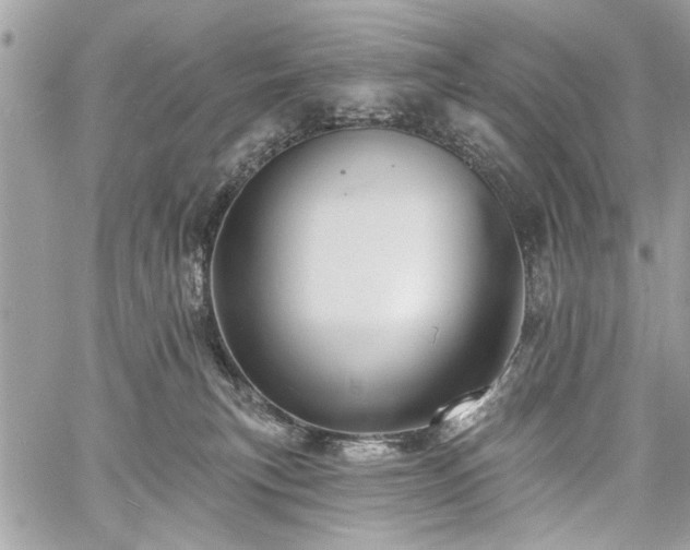 X0000060740183200511141142