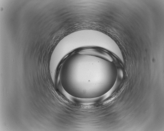 X0000060740185200511141142