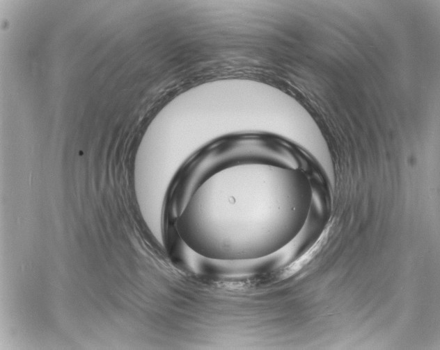 X0000060740187200511141142