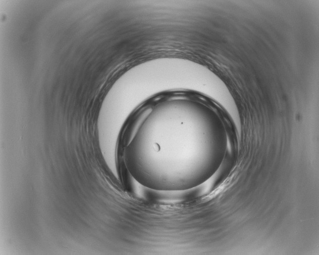 X0000060740188200511141142