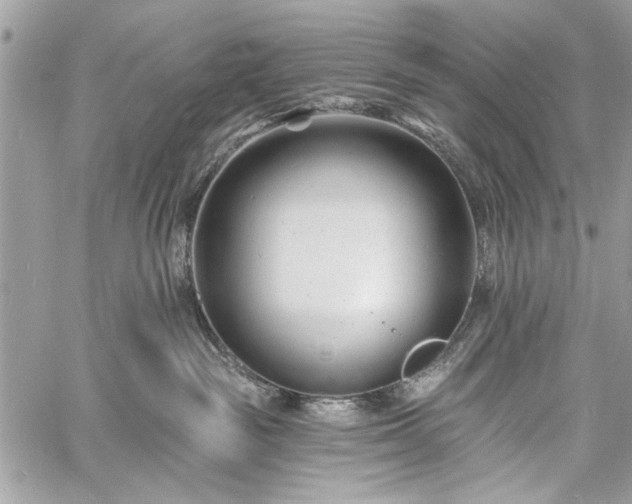 X0000060740189200511141142