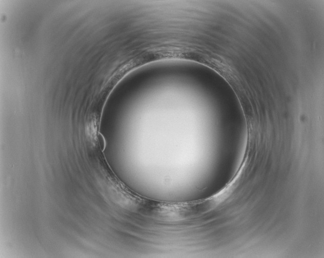 X0000060740190200511141142