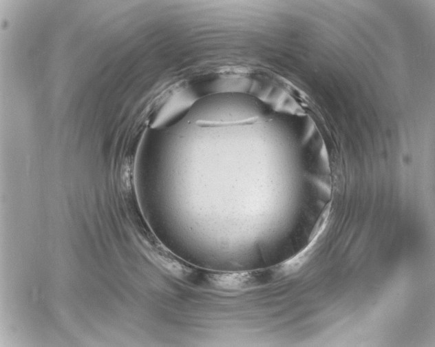 X0000060740191200511141142