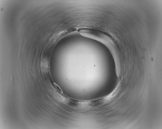 X0000060740192200511141142