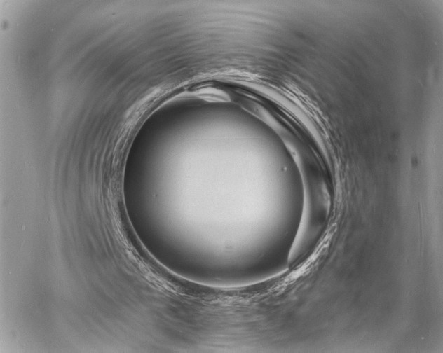 X0000060740193200511141142