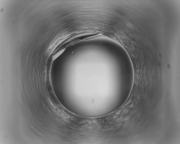 X0000060740194200511141142