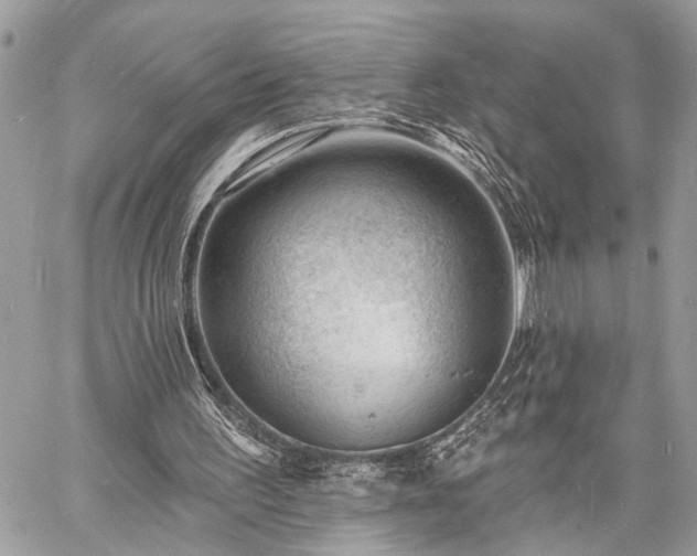 X0000060740195200511141142