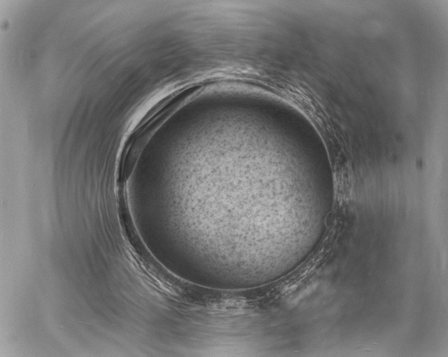 X0000060740196200511141142