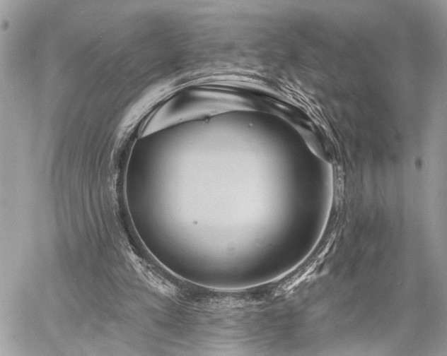 X0000060740197200511141142