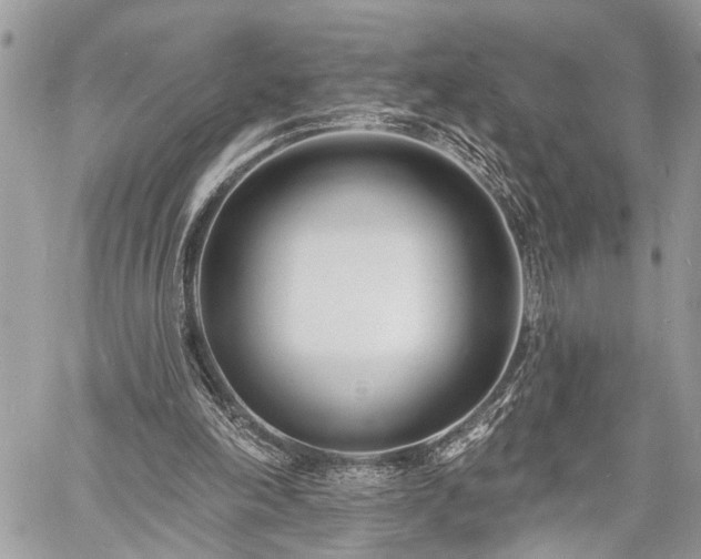 X0000060740198200511141142