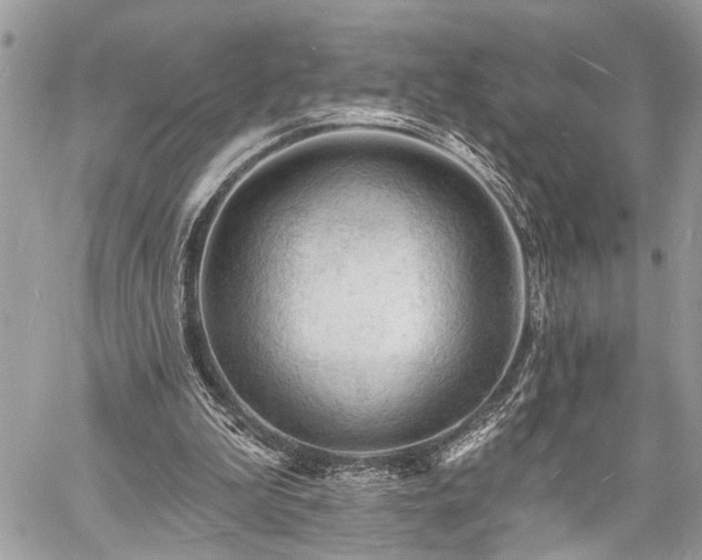 X0000060740199200511141141