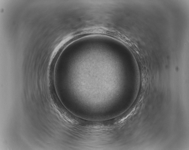 X0000060740200200511141141