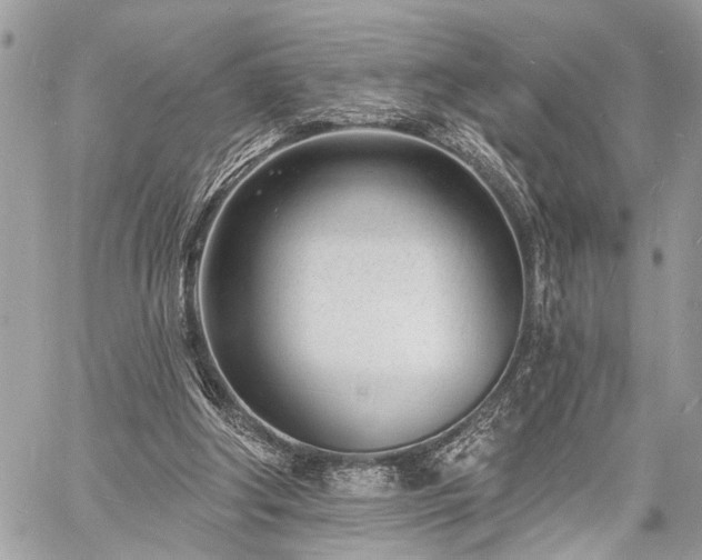 X0000060740202200511141141