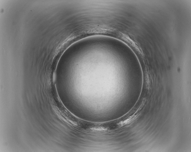 X0000060740203200511141141