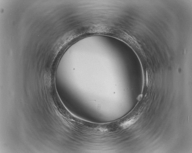 X0000060740204200511141141