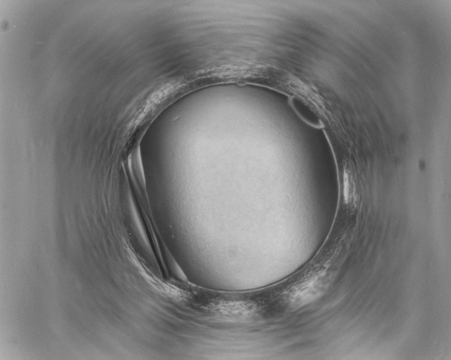 X0000060740205200511141141