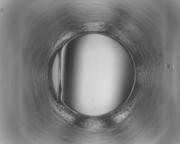 X0000060740207200511141141