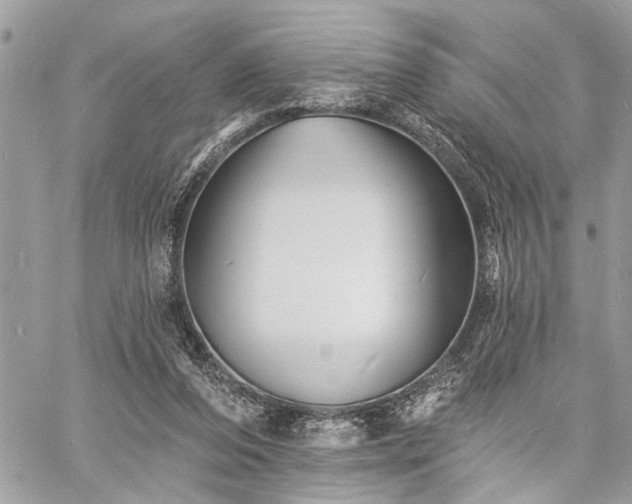 X0000060740208200511141141