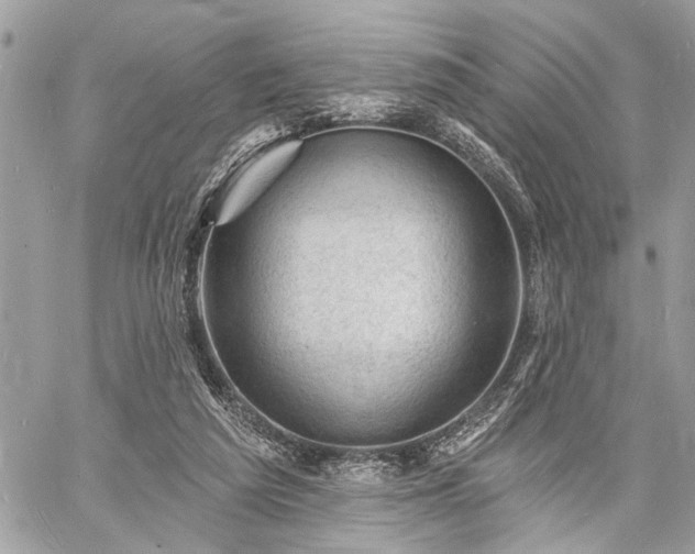 X0000060740209200511141141