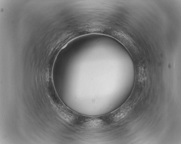 X0000060740210200511141141