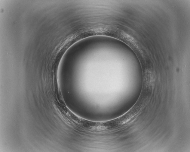 X0000060740212200511141141