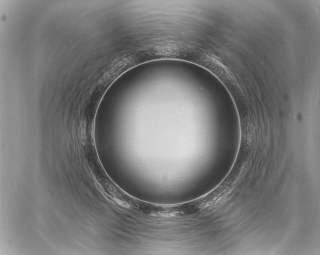 X0000060740213200511141141