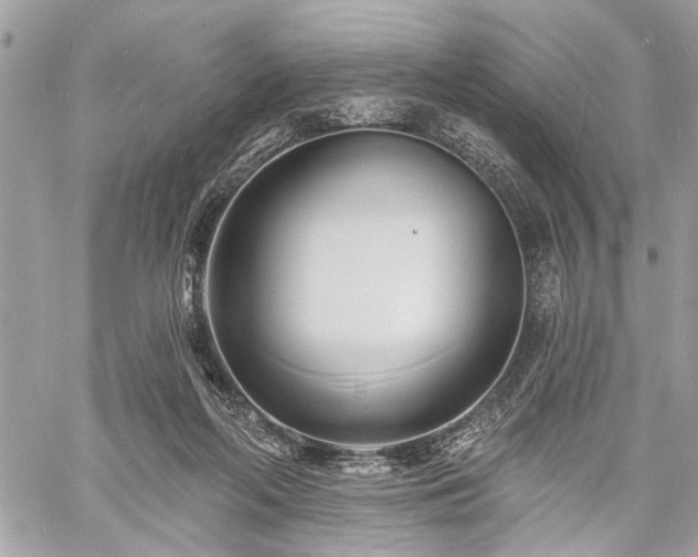 X0000060740214200511141141