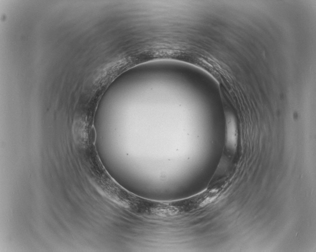 X0000060740215200511141141