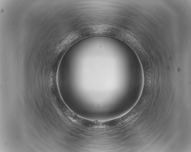 X0000060740216200511141141