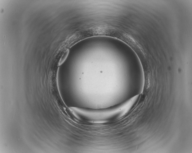 X0000060740217200511141141