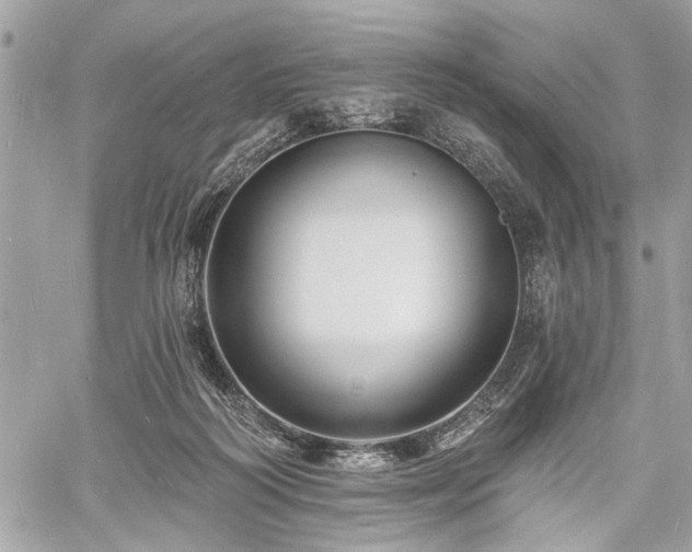 X0000060740218200511141141