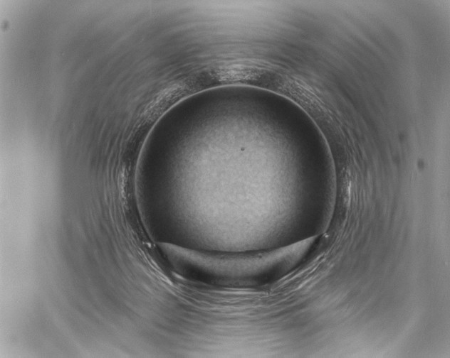 X0000060740219200511141141