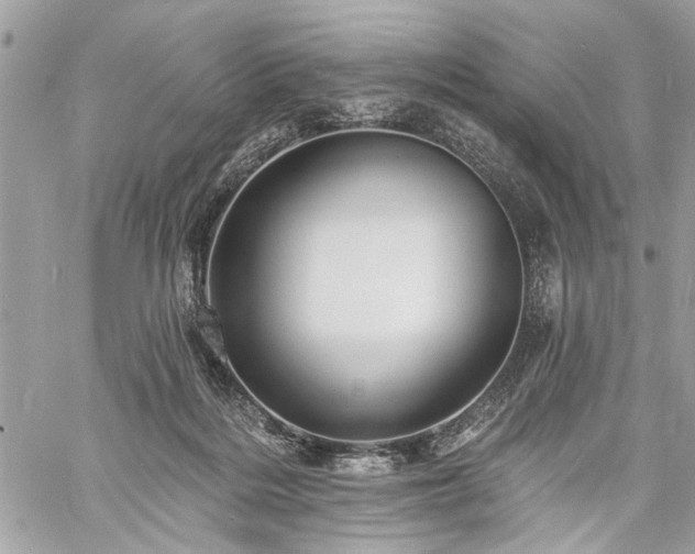 X0000060740220200511141141