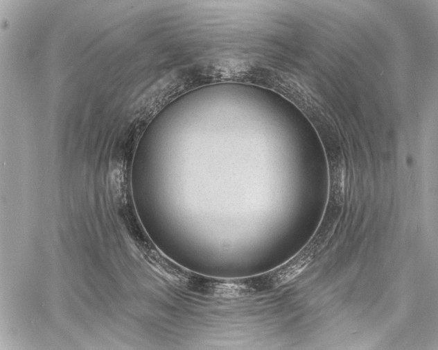 X0000060740222200511141141