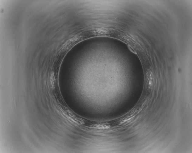 X0000060740223200511141141