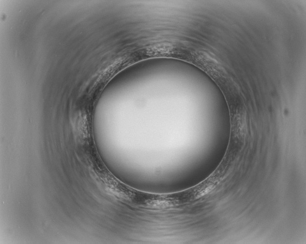 X0000060740224200511141141