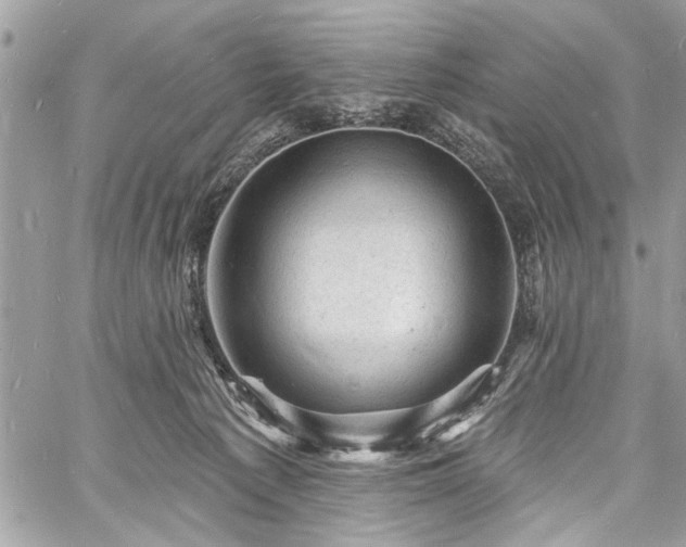 X0000060740225200511141141