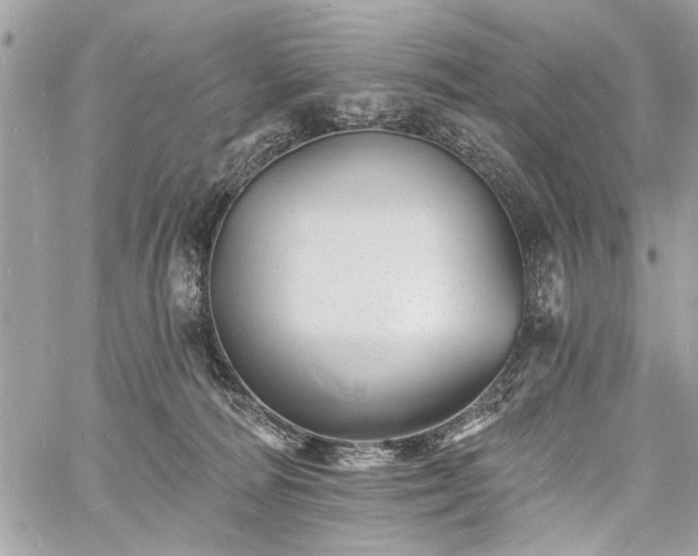 X0000060740226200511141141