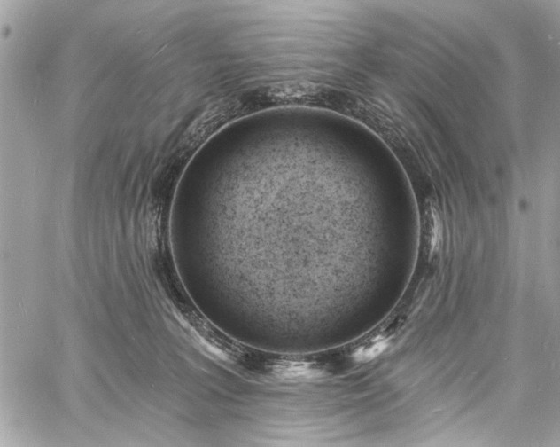 X0000060740227200511141141