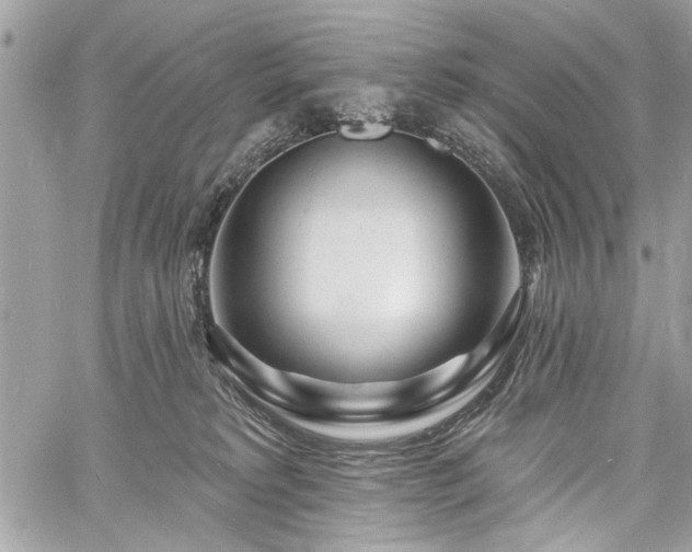 X0000060740229200511141141