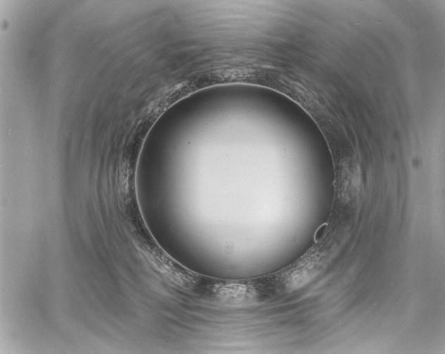 X0000060740230200511141141